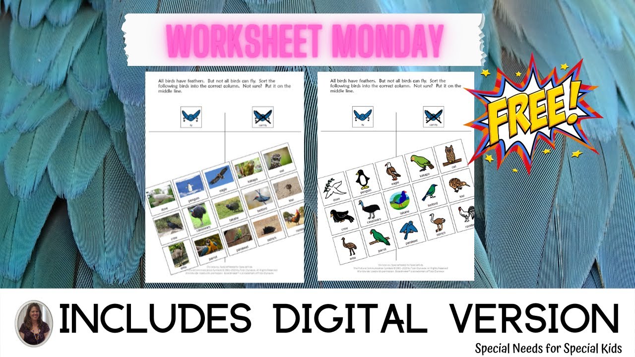 Birds that can fly free sorting worksheet