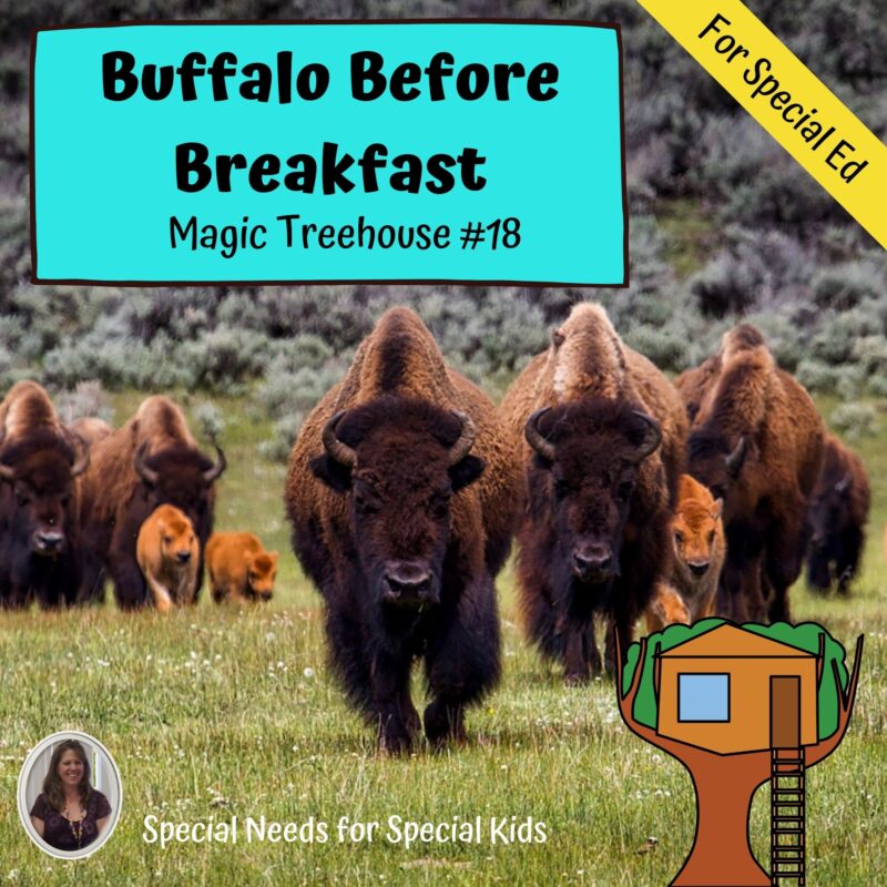 Buffalo Before Breakfast Magic Tree House #18 Novel Study for Special Education