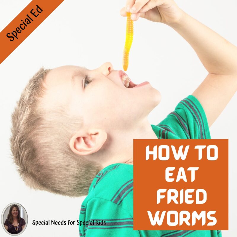How to Eat Fried Worms Novel Study for Special Education