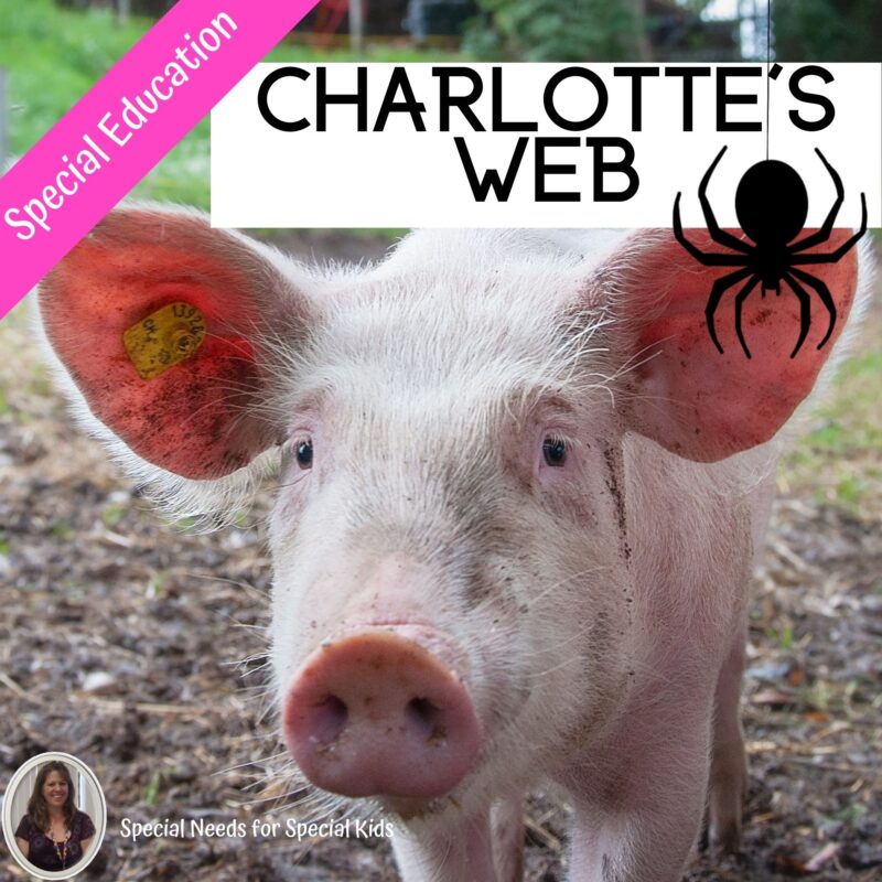 Charlotte's Web Novel Study for Special Education