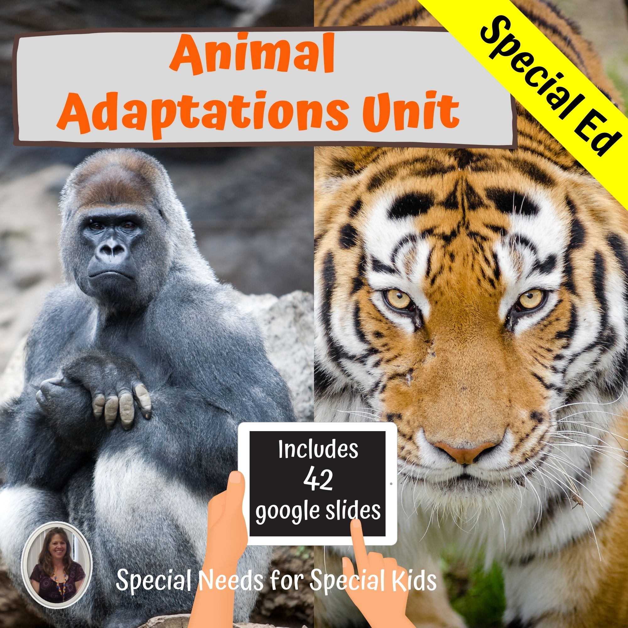 Animal Adaptations for Special Ed Gorillas and Tigers with digital  activities • Special Needs for Special Kids
