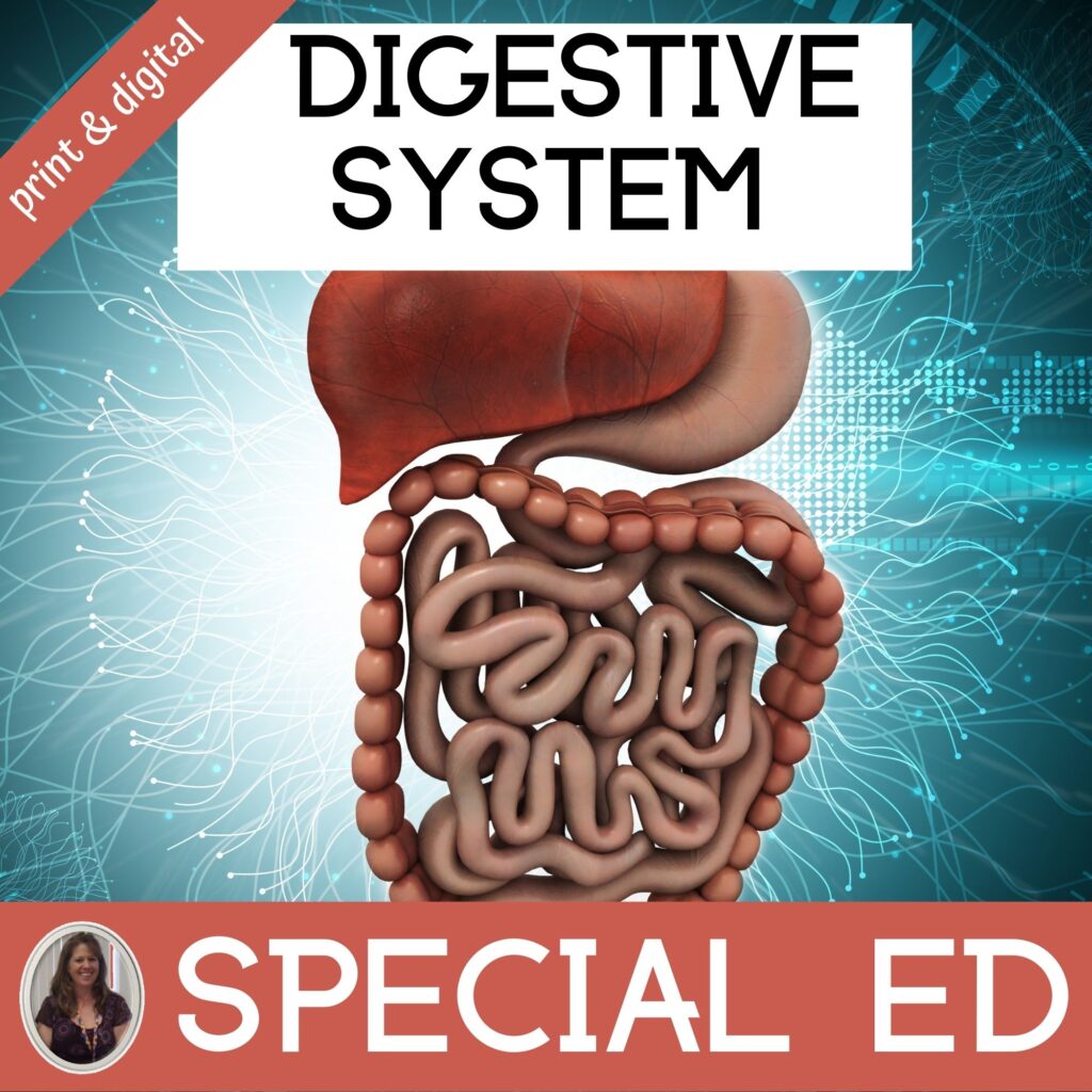 Digestive System Unit for Special Education | Human Body - Special Needs  for Special Kids