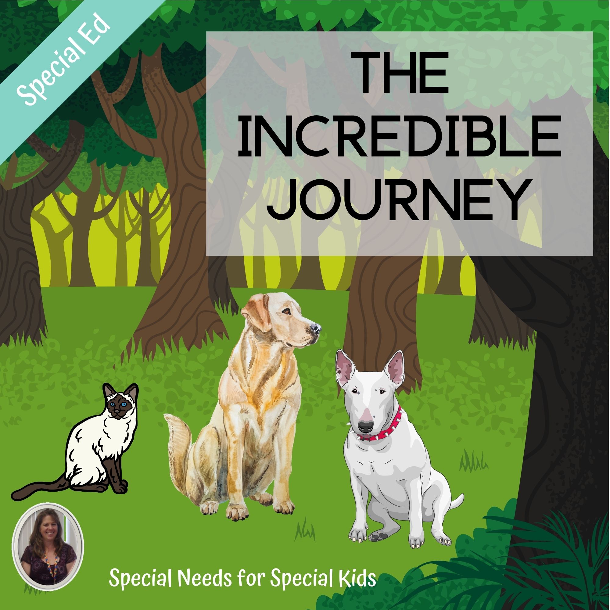 incredible journey book