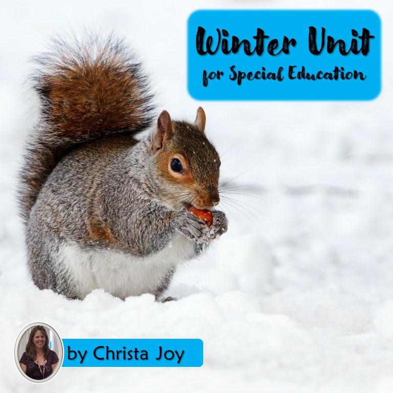 Winter Unit for Special Education with google slides | Distance Learning