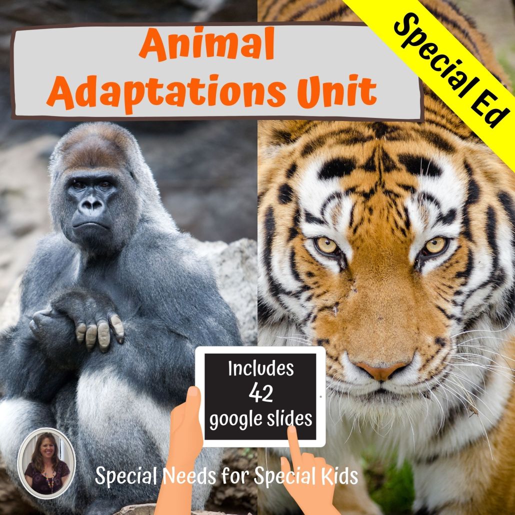 Animal Adaptation unit for special education