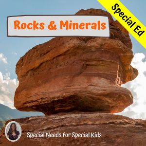 Rocks and Minerals unit for special ed