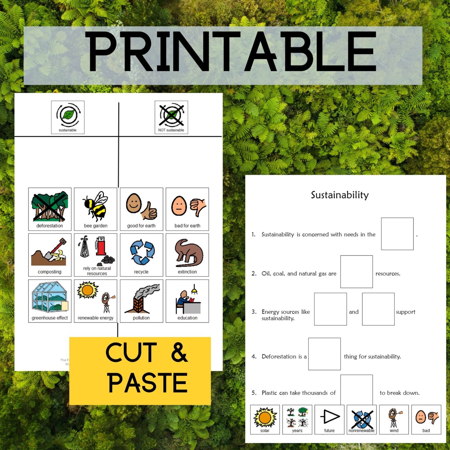 Sustainability Unit Special Education PRINT AND DIGITAL | Environmental ...