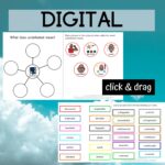 The Undefeated Literacy Unit for Special Education PRINT AND DIGITAL ...