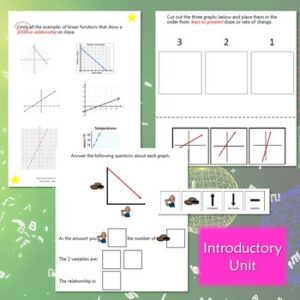 Functions and Linear Equations BUNDLE for Special Ed with Lesson Plans ...