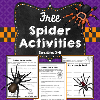 Free Spider Activities