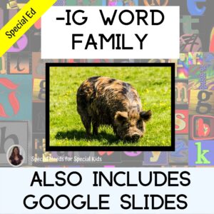 ig Word Family for Special Education