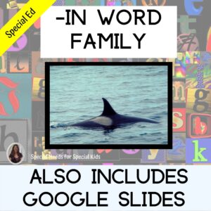 in Word Family for Special Education