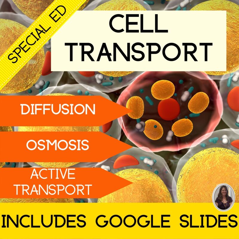 Cell Transport for Special Education