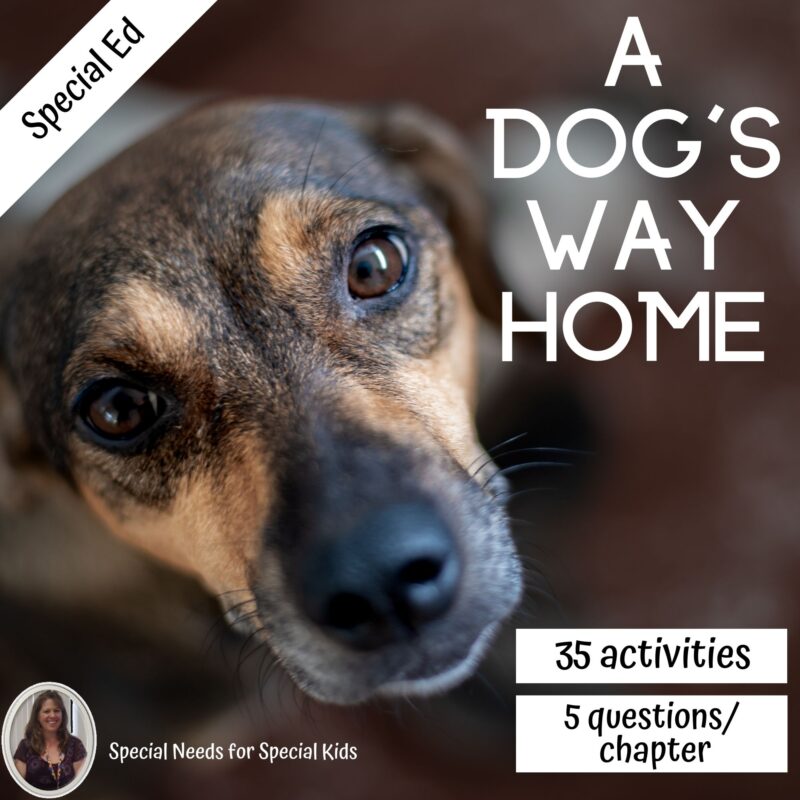 A Dog's Way Home Novel Study for Special Education