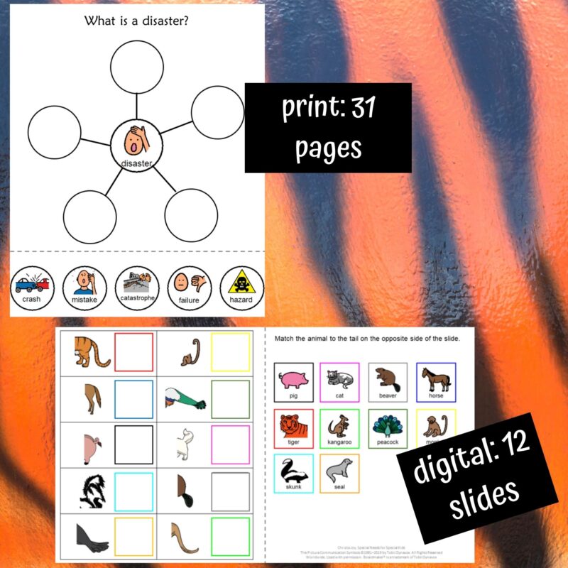 A Tiger Tail Literacy Unit