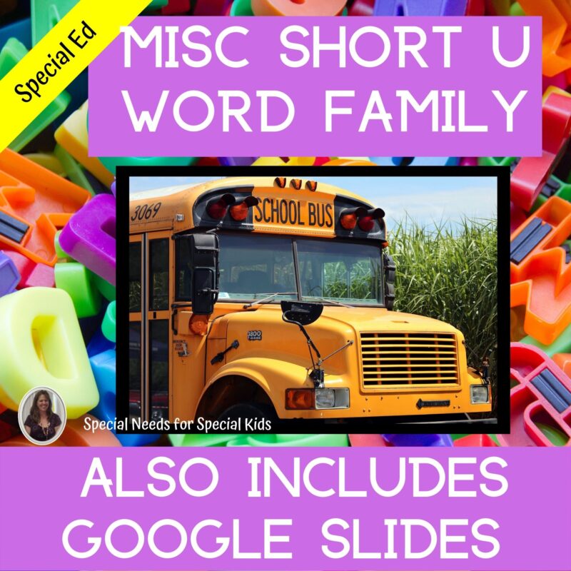 Misc short u Word Family for Special Education