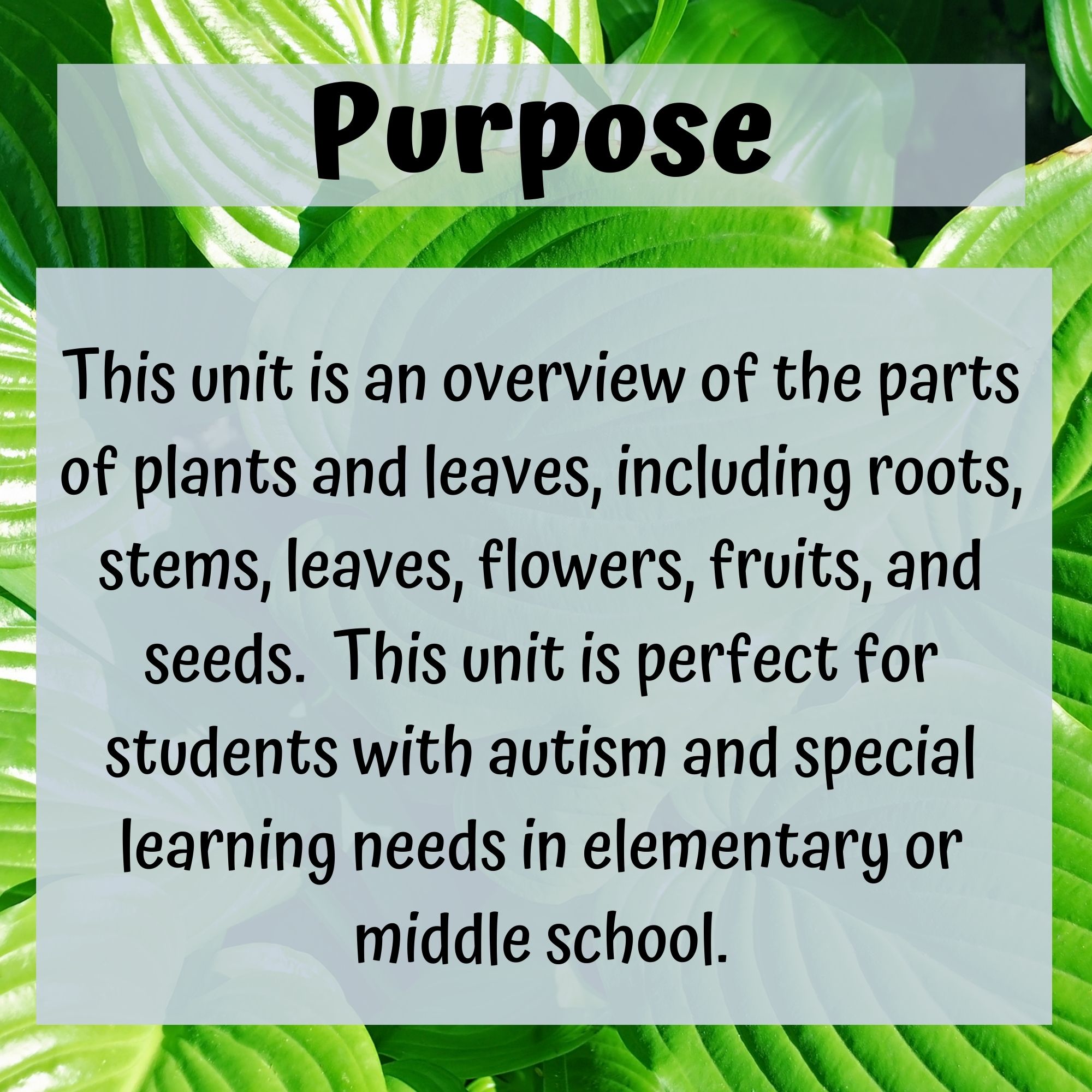 Parts of Plants for Special Education