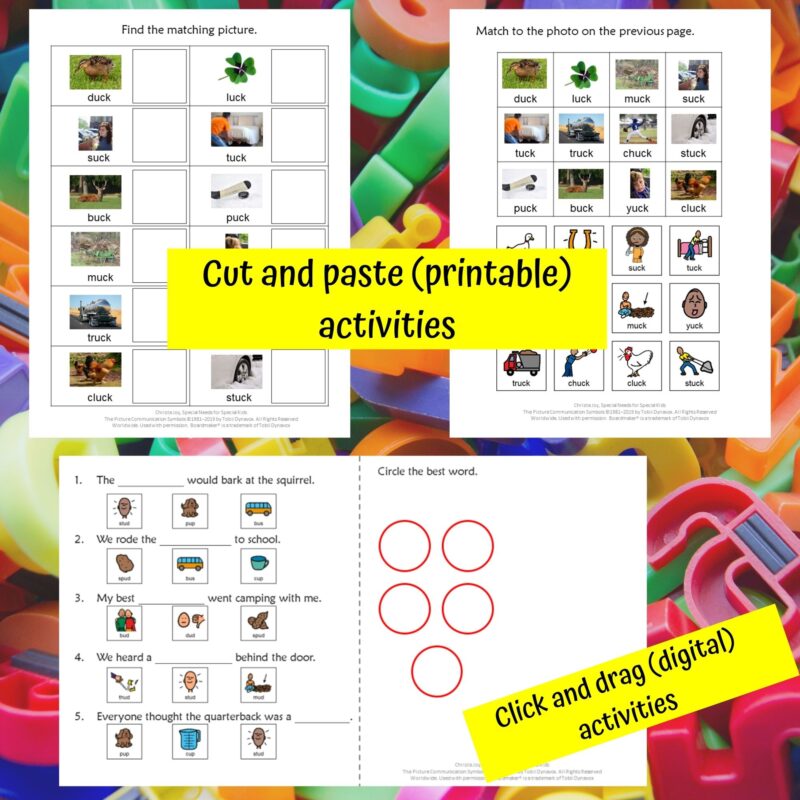 Short u Word Family Bundle for Special Education
