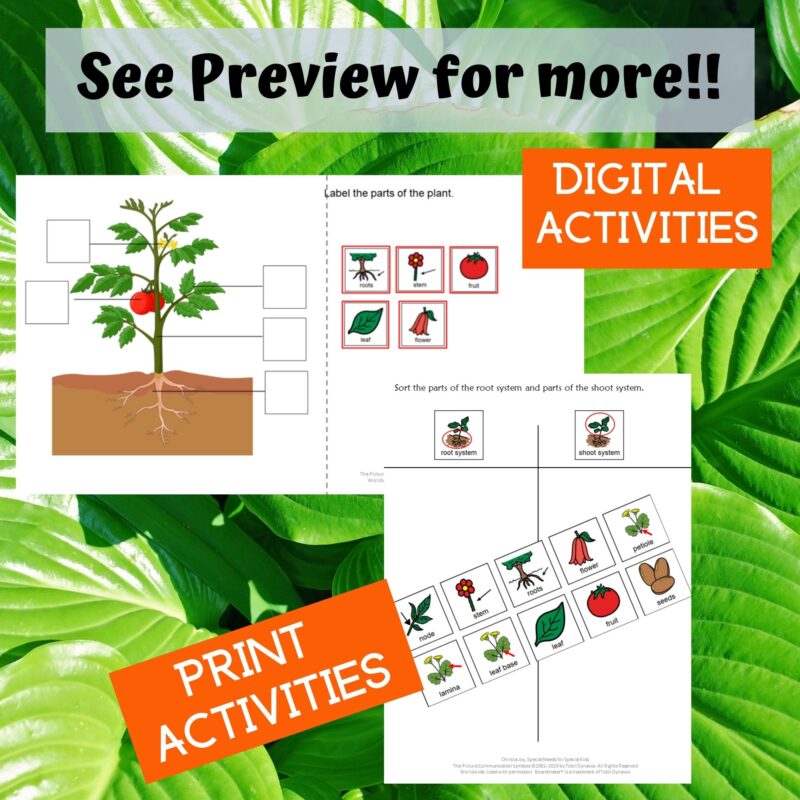 Parts of Plants for Special Education
