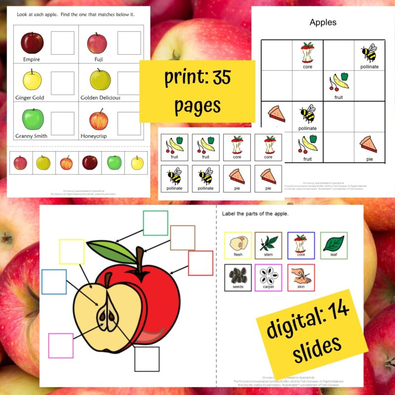 Apples by Gail Gibbons Literacy Unit for Special Education