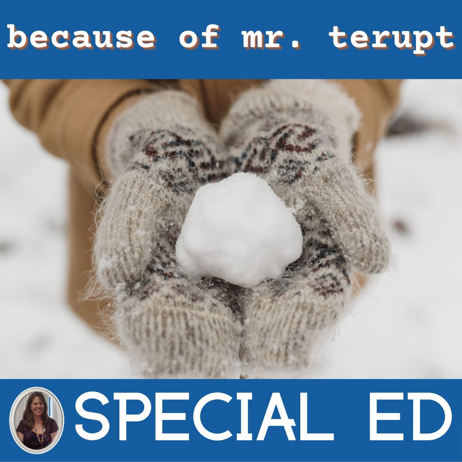 Because of Mr. Terupt Novel Study for Special Education with chapter ...
