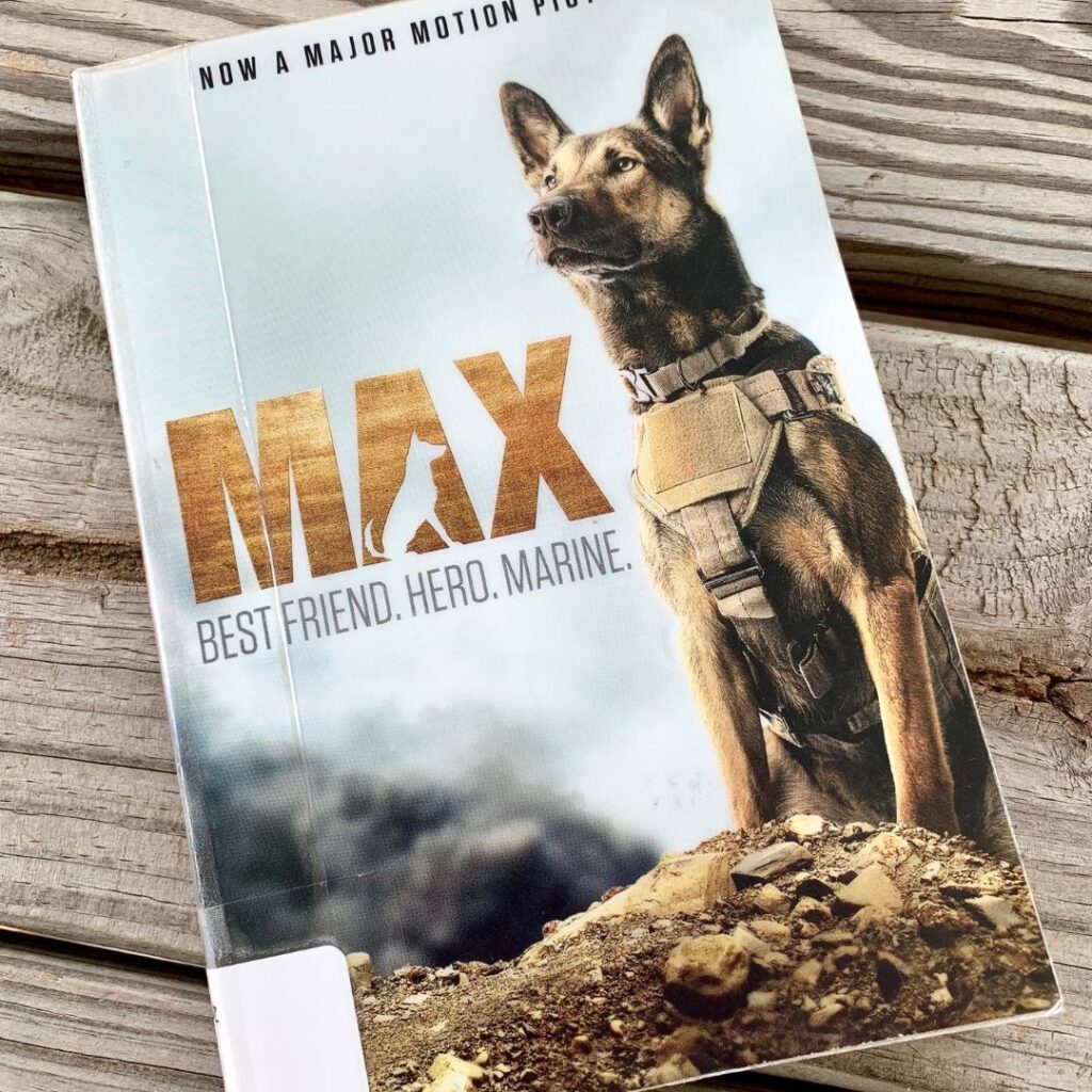 Max Books for Veterans Day