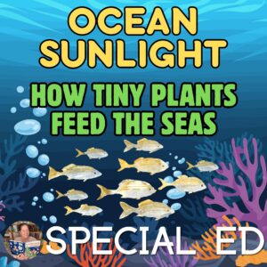 Ocean Sunlight How Tiny Plants Feed the Seas Book Companion Special Education