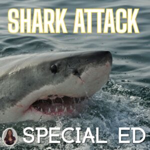 Shark Attack DK Super Readers Level 4 Book Study Shark Week Activities